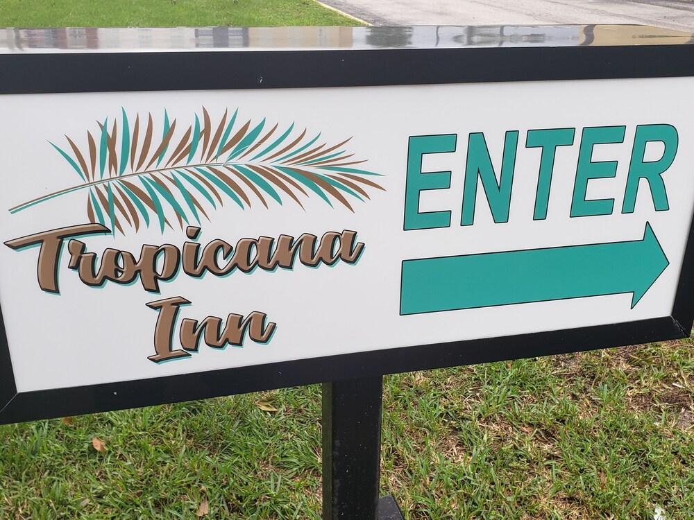 Quality Inn Saint Petersburg North-Tampa Bay Zewnętrze zdjęcie