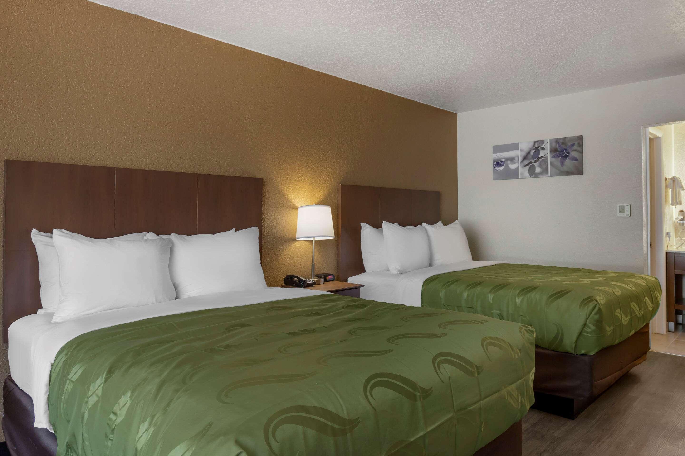 Quality Inn Saint Petersburg North-Tampa Bay Zewnętrze zdjęcie
