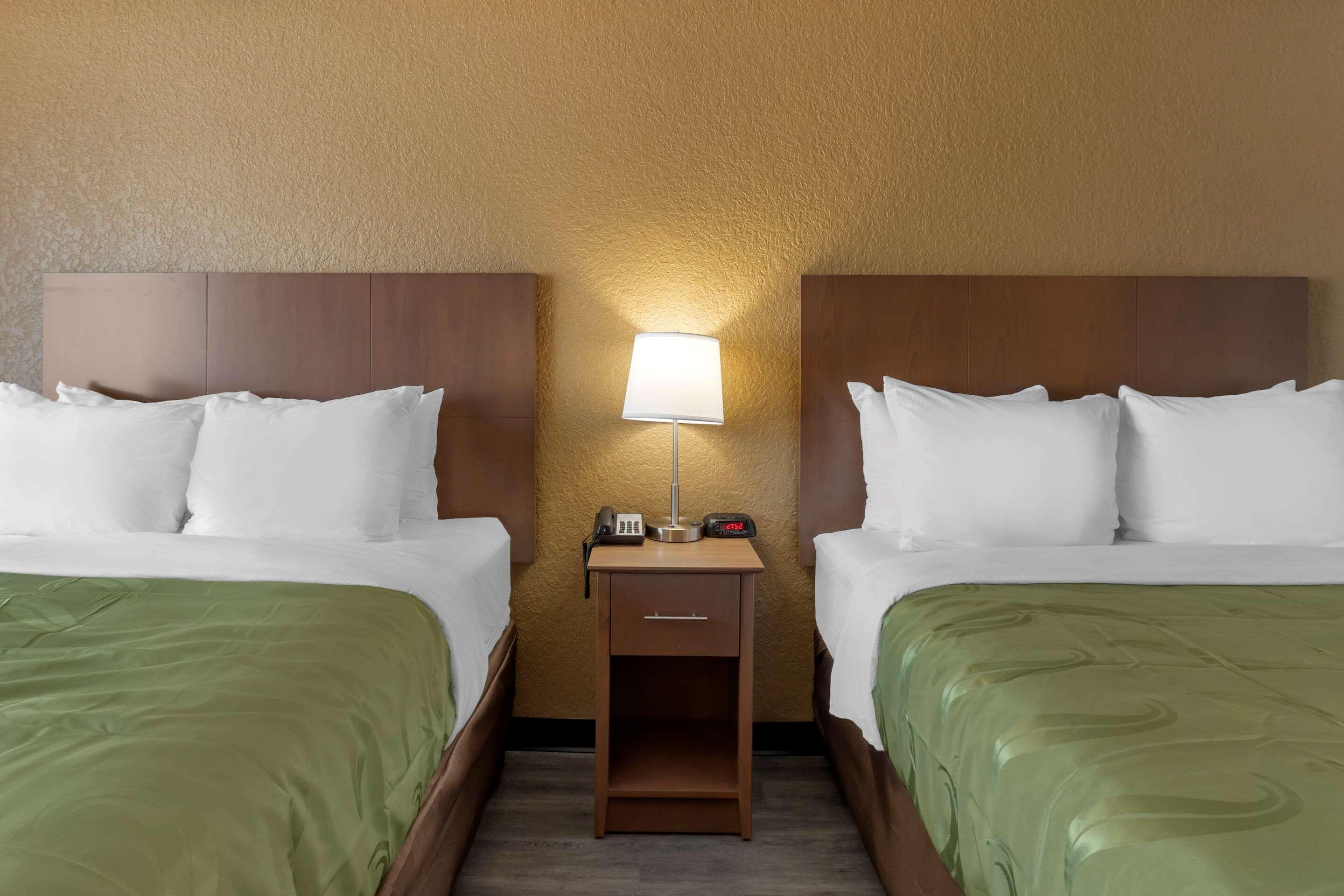 Quality Inn Saint Petersburg North-Tampa Bay Zewnętrze zdjęcie