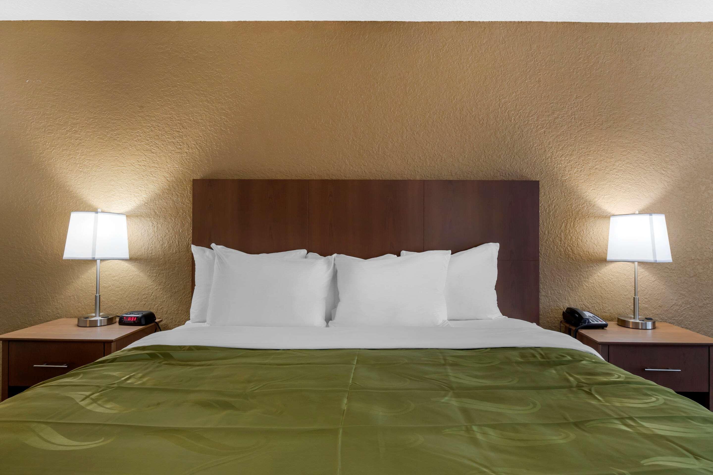 Quality Inn Saint Petersburg North-Tampa Bay Zewnętrze zdjęcie